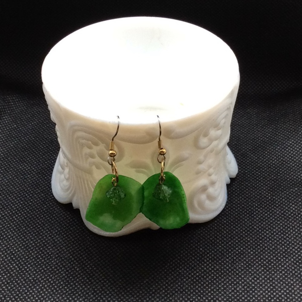 Fashion earrings